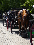 FZ018232 Carriages lined up.jpg